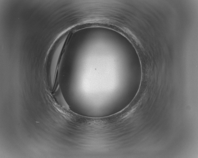 X0000074000830200609061021