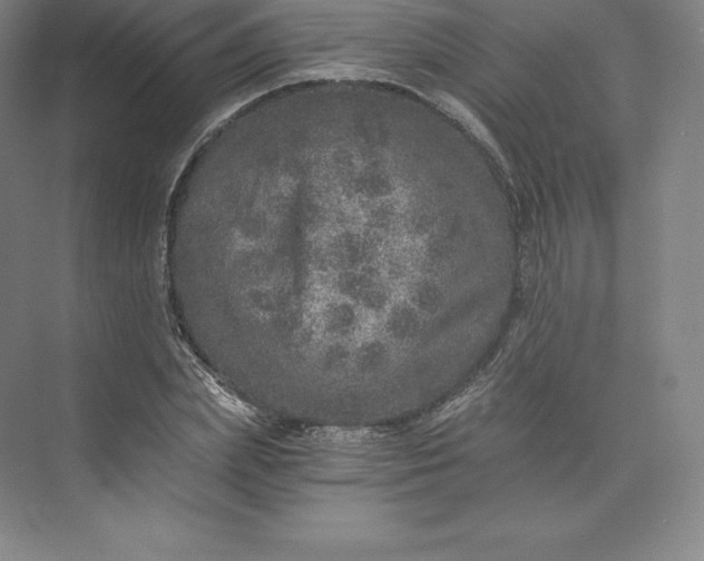 X0000074000831200609061021