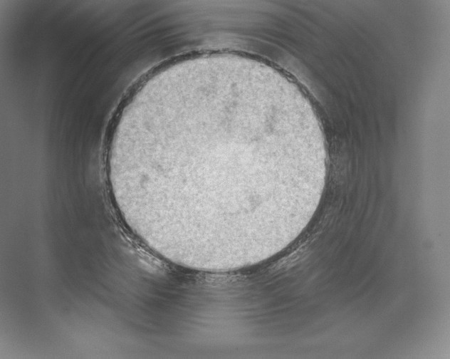 X0000074000832200609061021