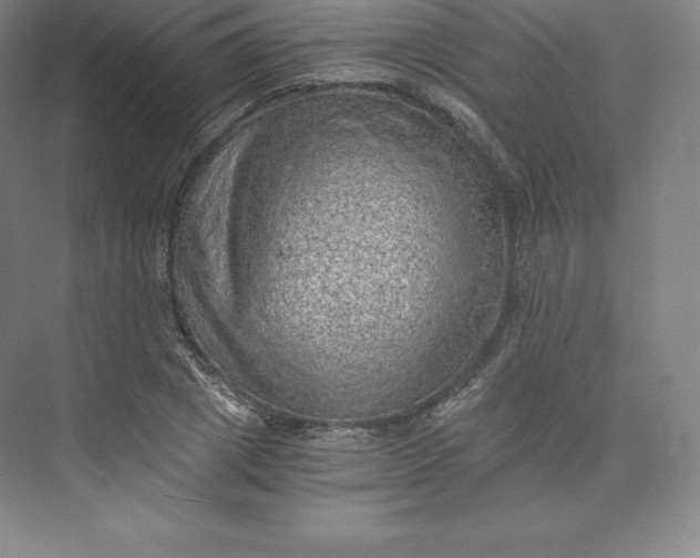 X0000074000833200609061021