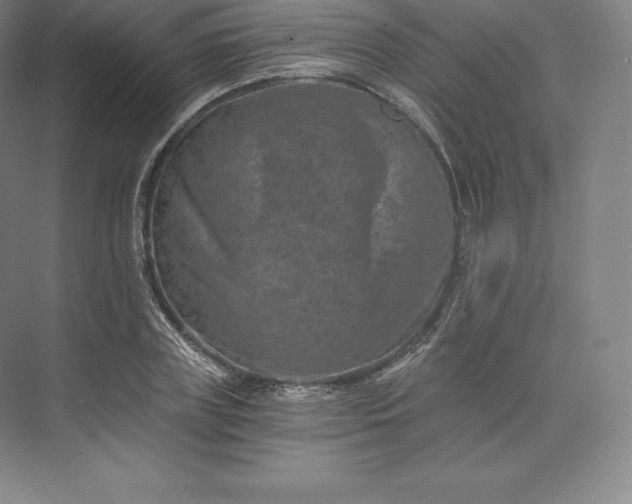 X0000074000835200609061021