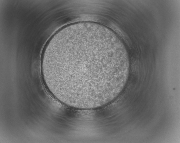 X0000074000836200609061021