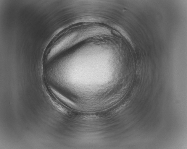 X0000074000837200609061021