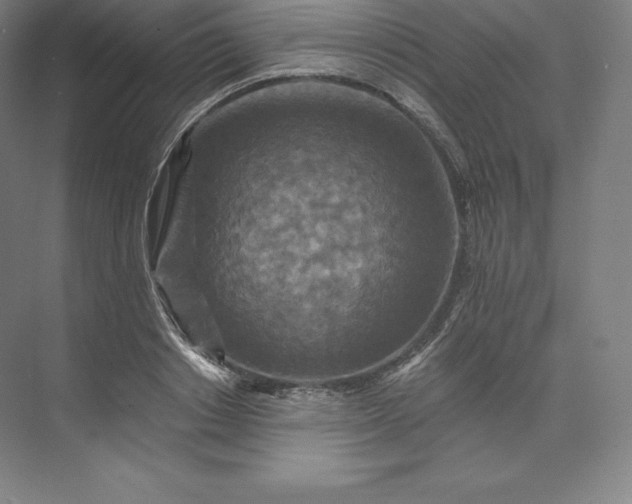 X0000074000842200609061021