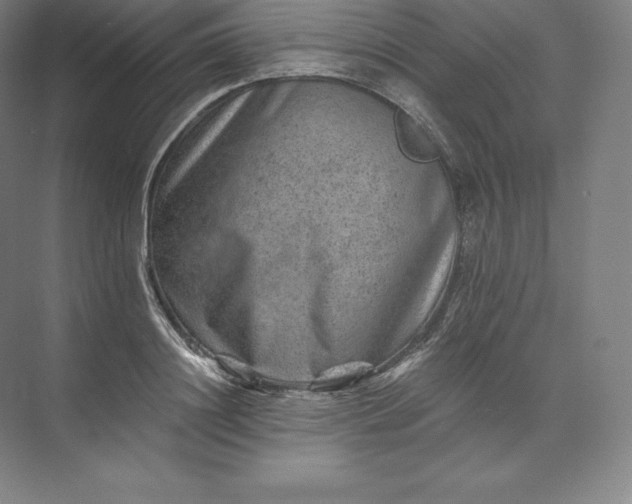 X0000074000844200609061021