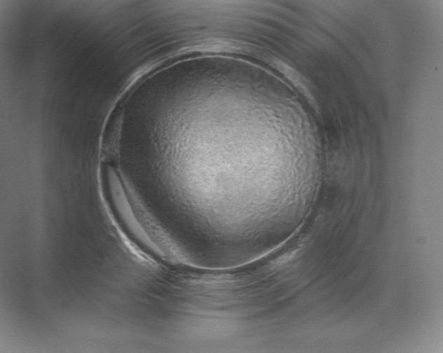 X0000074000845200609061021