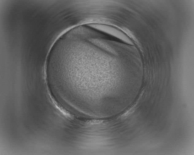 X0000074000846200609061021