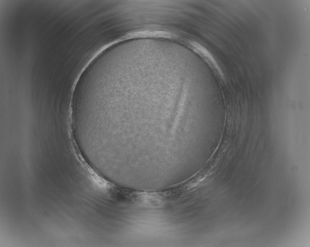 X0000074000852200609061022