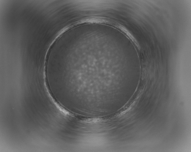 X0000074000853200609061022