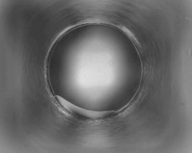 X0000074000854200609061022