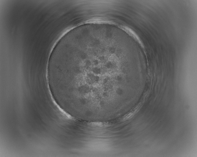 X0000074000855200609061022