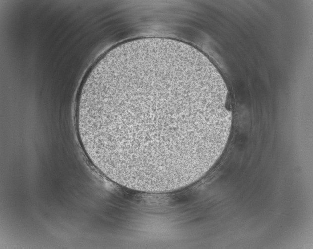 X0000074000856200609061022