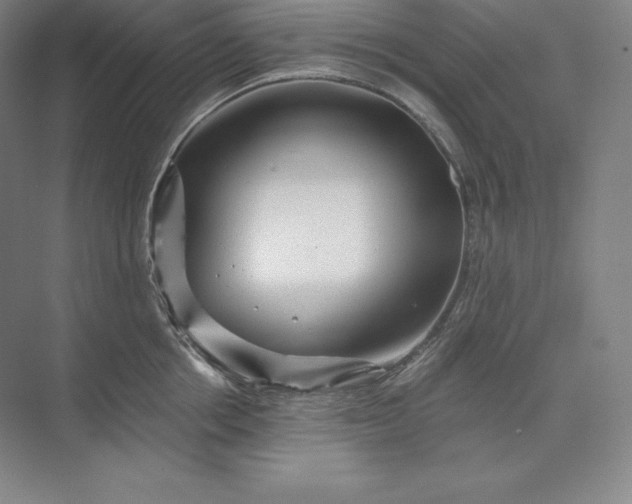 X0000074000858200609061022