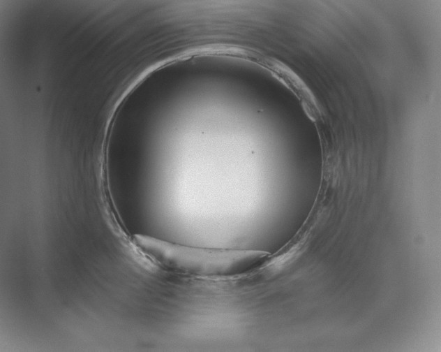 X0000074000860200609061022