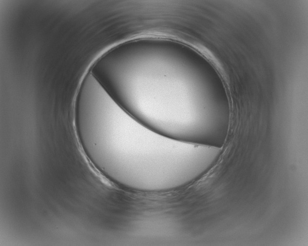 X0000074000862200609061022