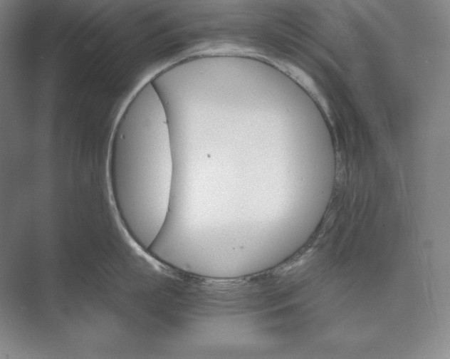 X0000074000863200609061022