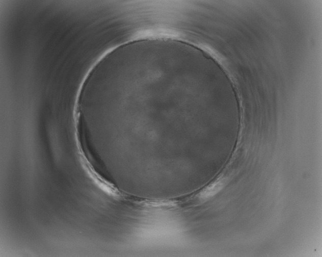 X0000074000864200609061022