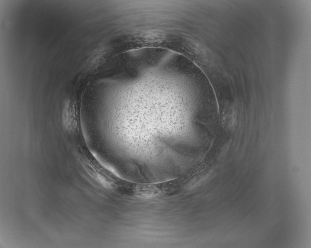 X0000074000866200609061021