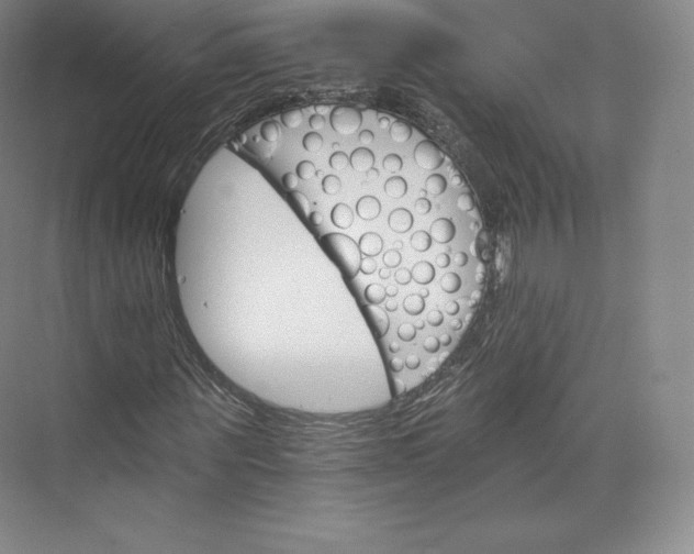 X0000074000867200609061021