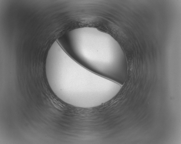 X0000074000868200609061021