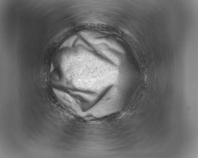 X0000074000870200609061021