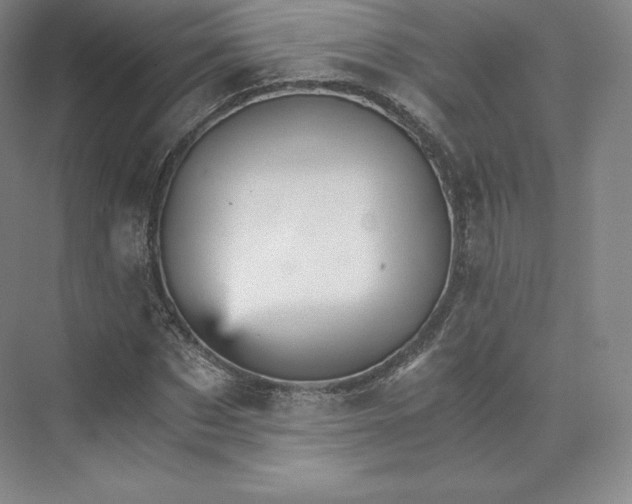 X0000074000873200609061021