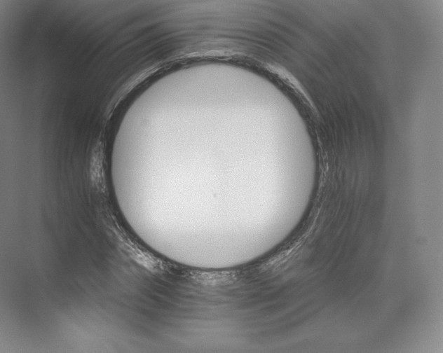 X0000074000874200609061021