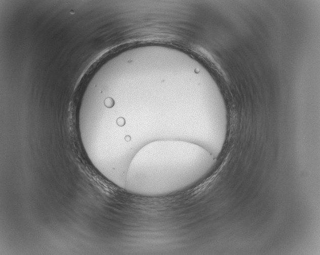 X0000074000875200609061021