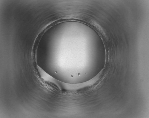 X0000074000876200609061021