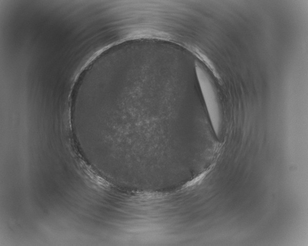 X0000074000877200609061021