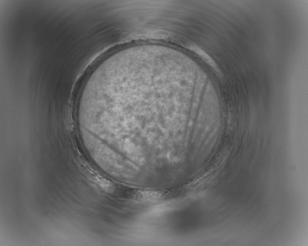 X0000074000878200609061021