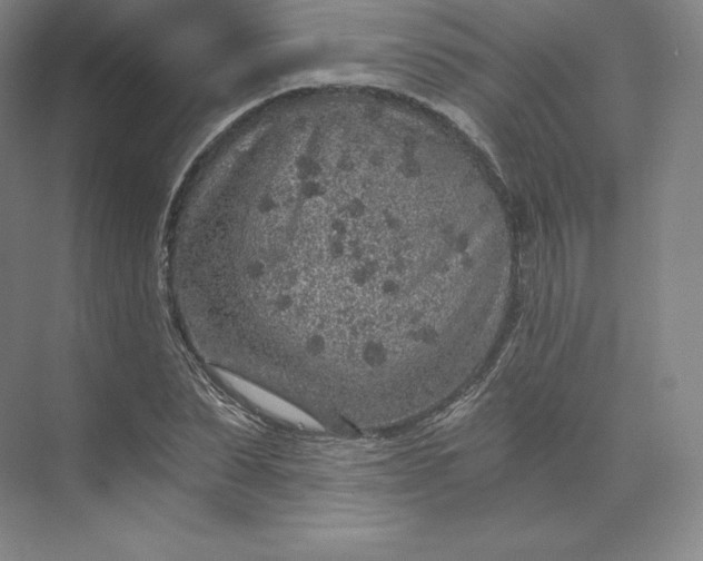 X0000074000879200609061021