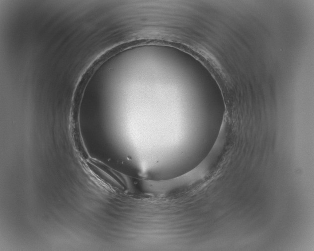 X0000074000880200609061021