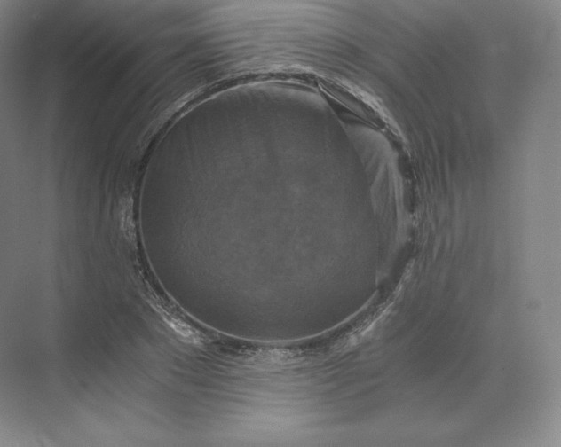 X0000074000881200609061021