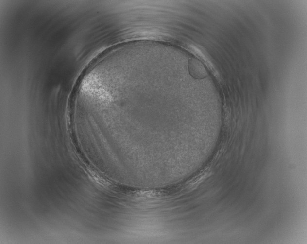 X0000074000883200609061021