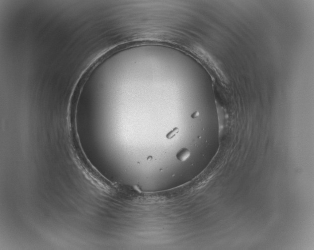 X0000074000884200609061021