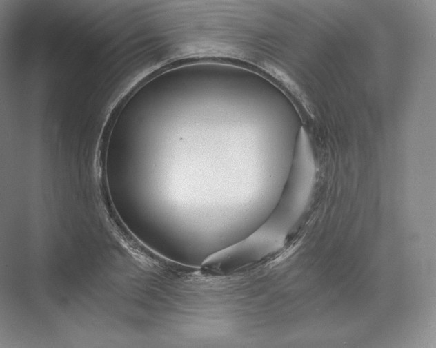 X0000074000885200609061021