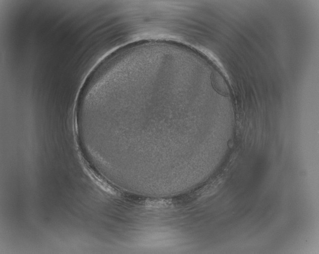 X0000074000887200609061021