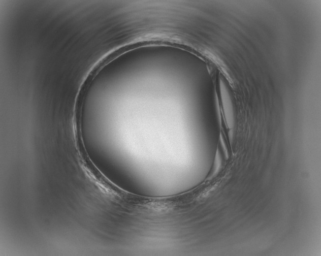 X0000074000888200609061021