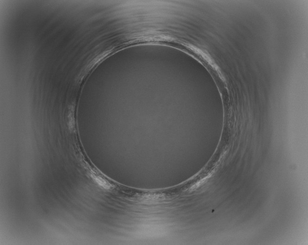 X0000074000889200609061021