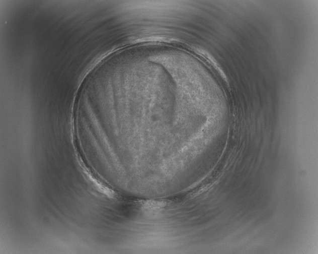 X0000074000890200609061021