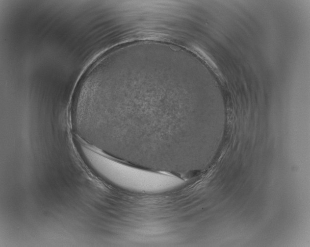 X0000074000891200609061021