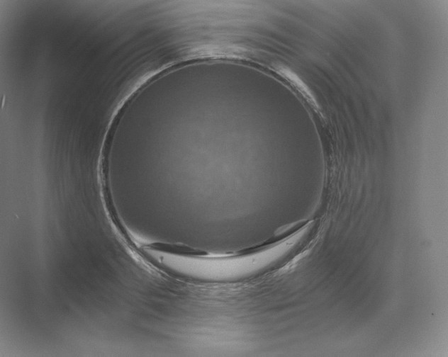 X0000074000893200609061020