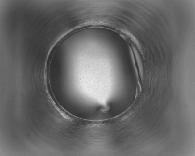 X0000074000894200609061020