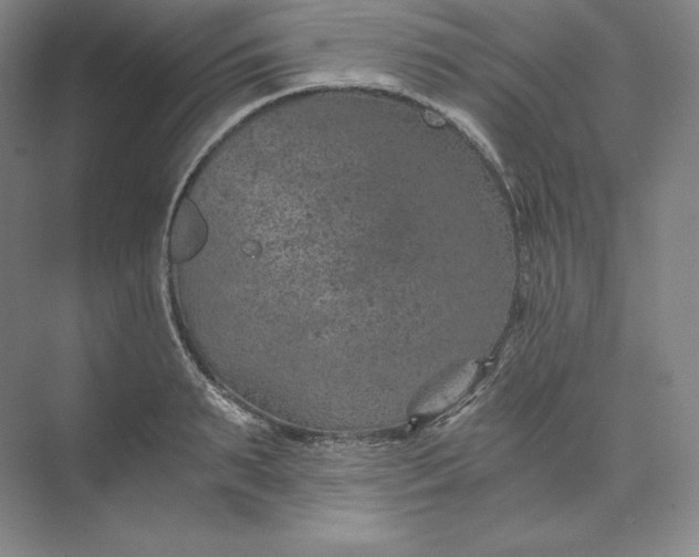 X0000074000895200609061020