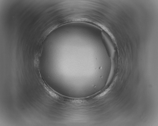 X0000074000897200609061020