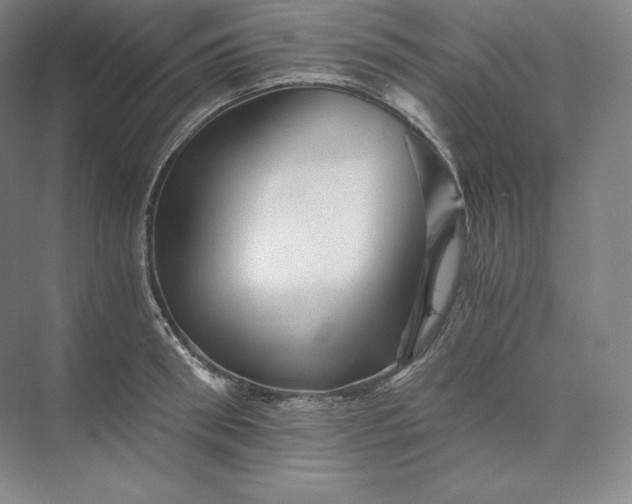 X0000074000898200609061020