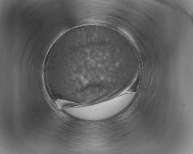 X0000074000899200609061020