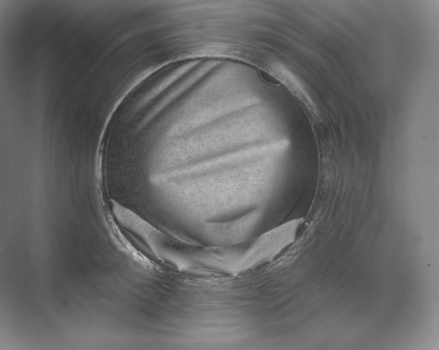 X0000074000900200609061020