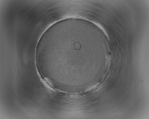 X0000074000903200609061020